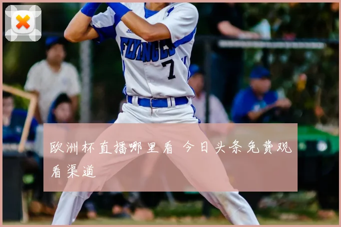 欧洲杯直播哪里看 今日头条免费观看渠道