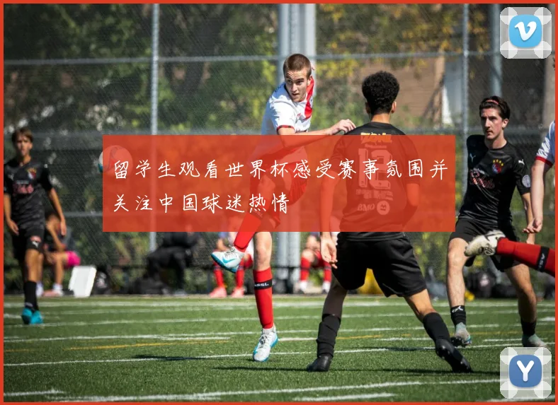 留学生观看世界杯感受赛事氛围并关注中国球迷热情