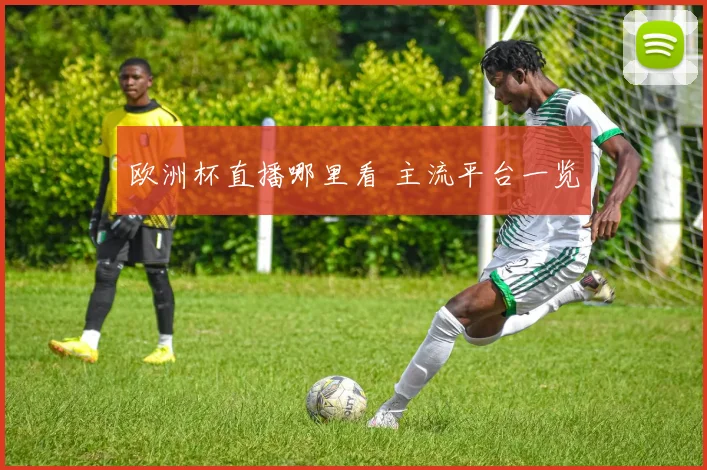 欧洲杯直播哪里看 主流平台一览