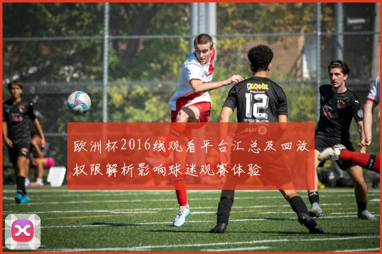 欧洲杯2016线观看平台汇总及回放权限解析影响球迷观赛体验