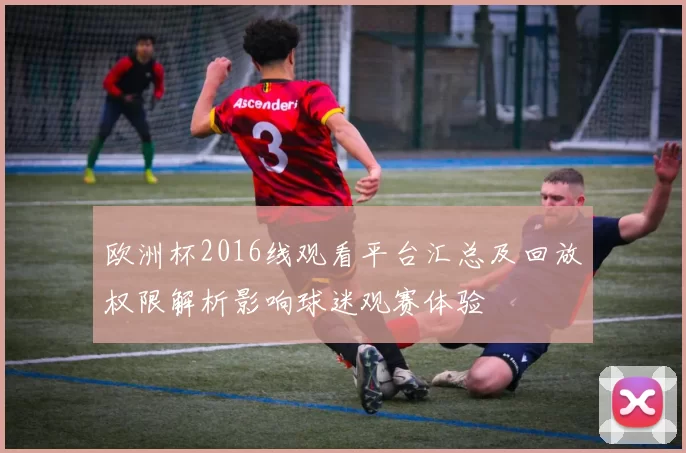 欧洲杯2016线观看平台汇总及回放权限解析影响球迷观赛体验