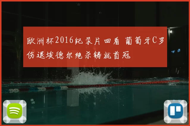 欧洲杯2016纪录片回看 葡萄牙C罗伤退埃德尔绝杀铸就首冠