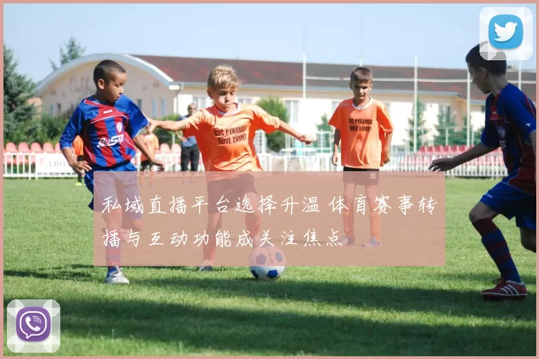 私域直播平台选择升温 体育赛事转播与互动功能成关注焦点